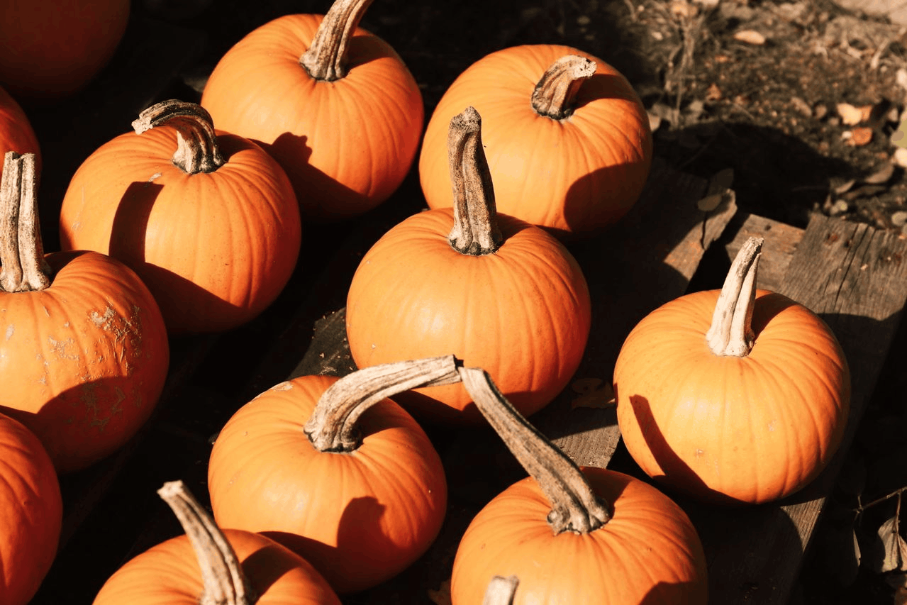 recette citrouille santé 