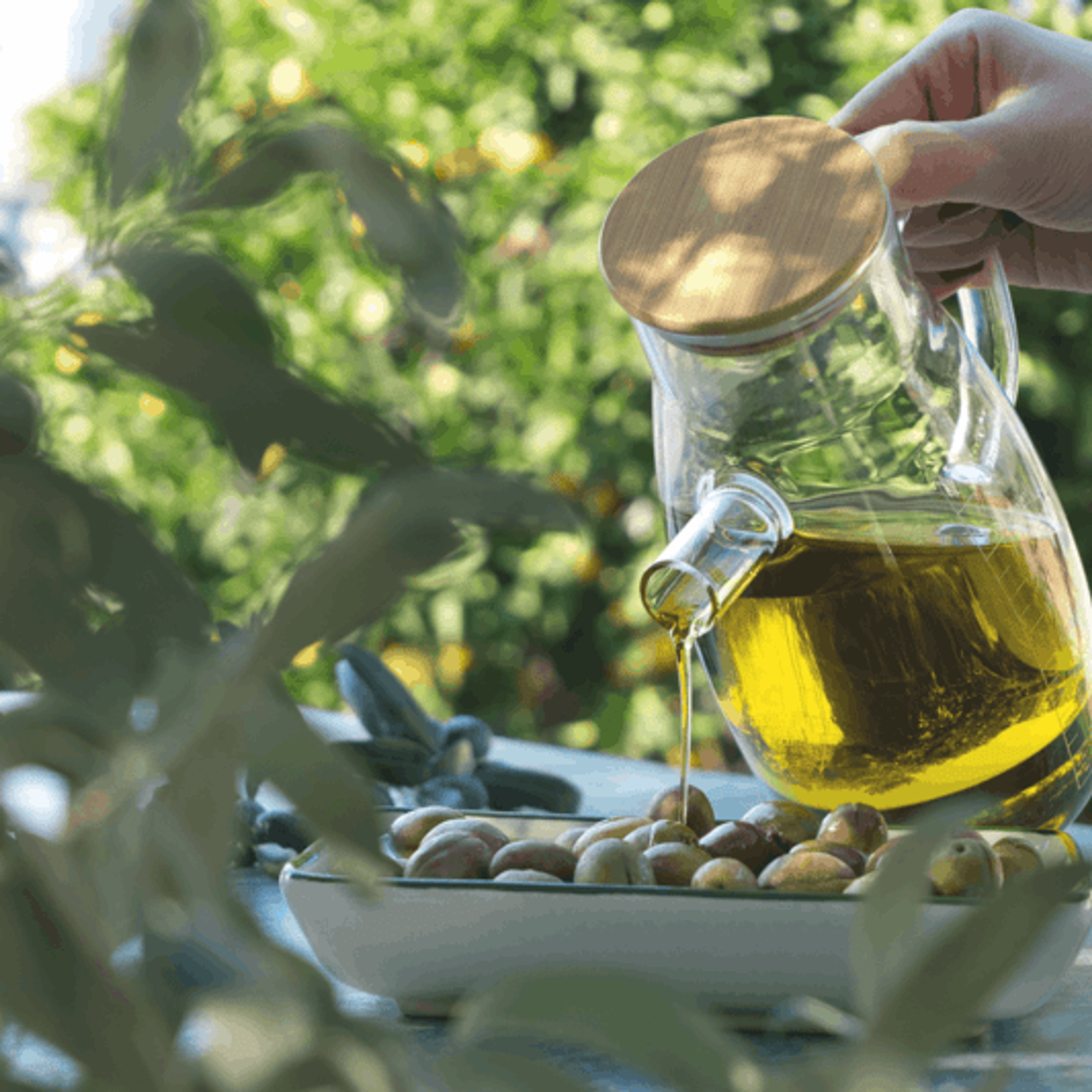 huile d'olive nouveaux produits québécois 2026 nutritionnistes