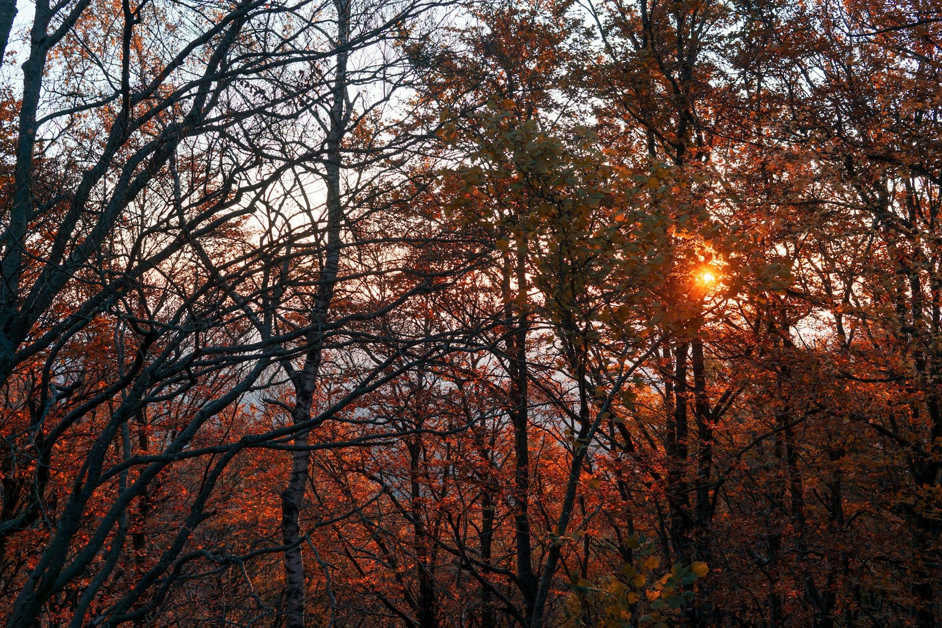 coucher de soleil