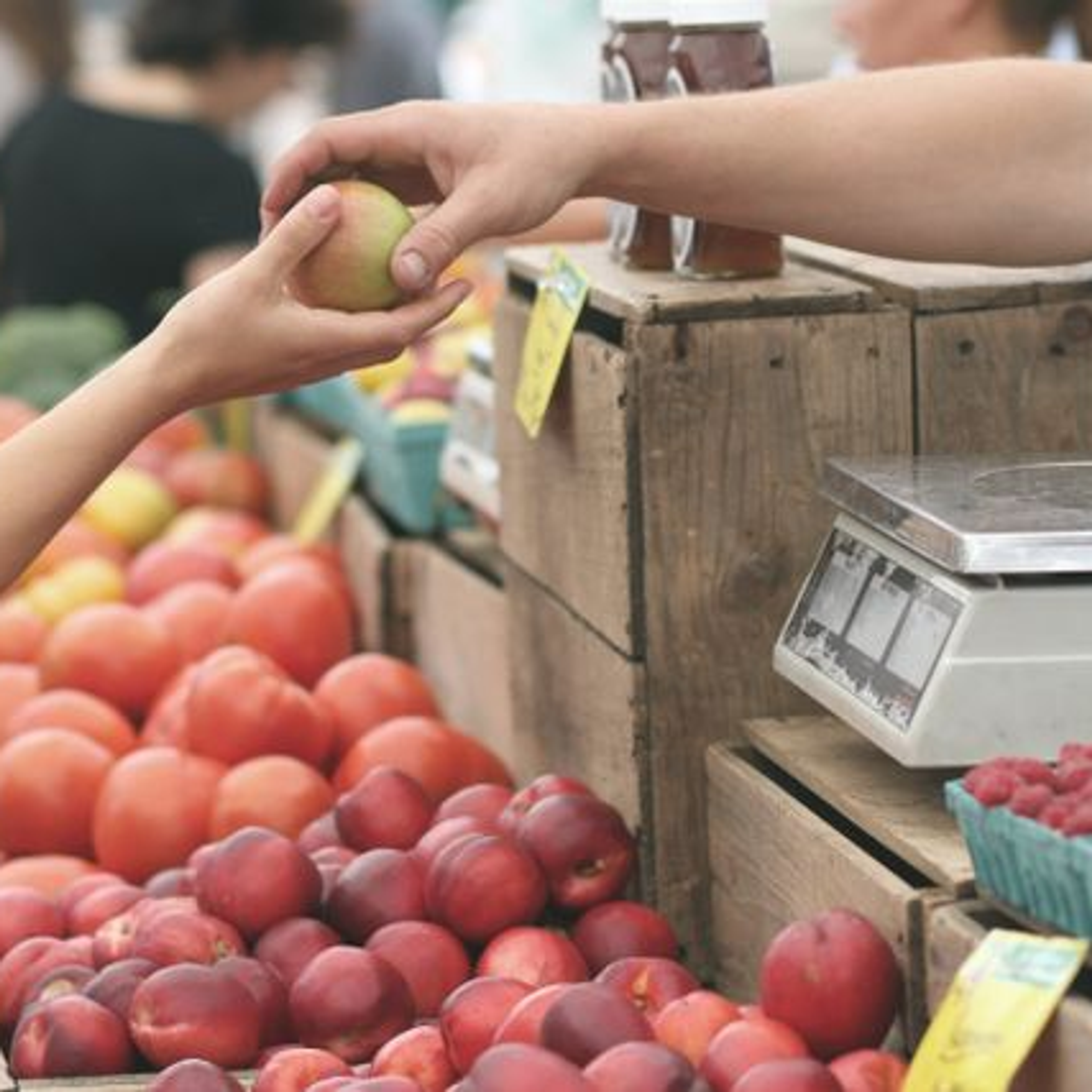 marché local mascouche bien manger